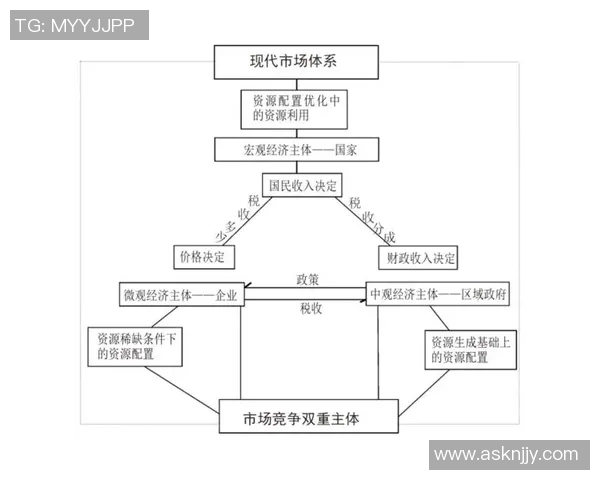 南京篮球队运营革新探索：从管理模式到市场营销的全方位升级之路