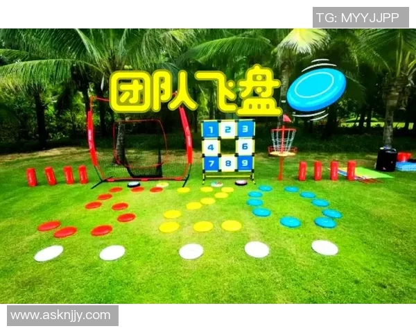 飞盘战术揭秘:成都飞盘队如何运用快攻制胜对手